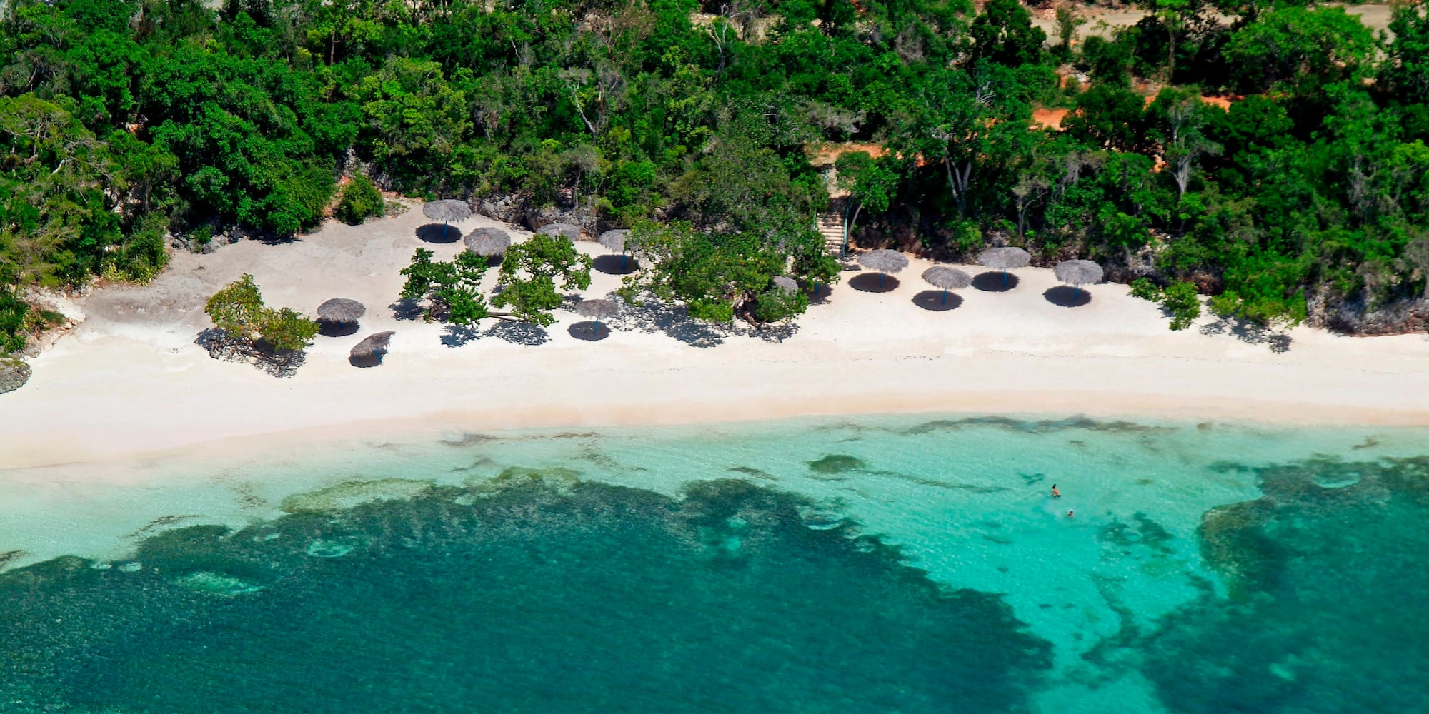 a beach with trees and a clear blue water