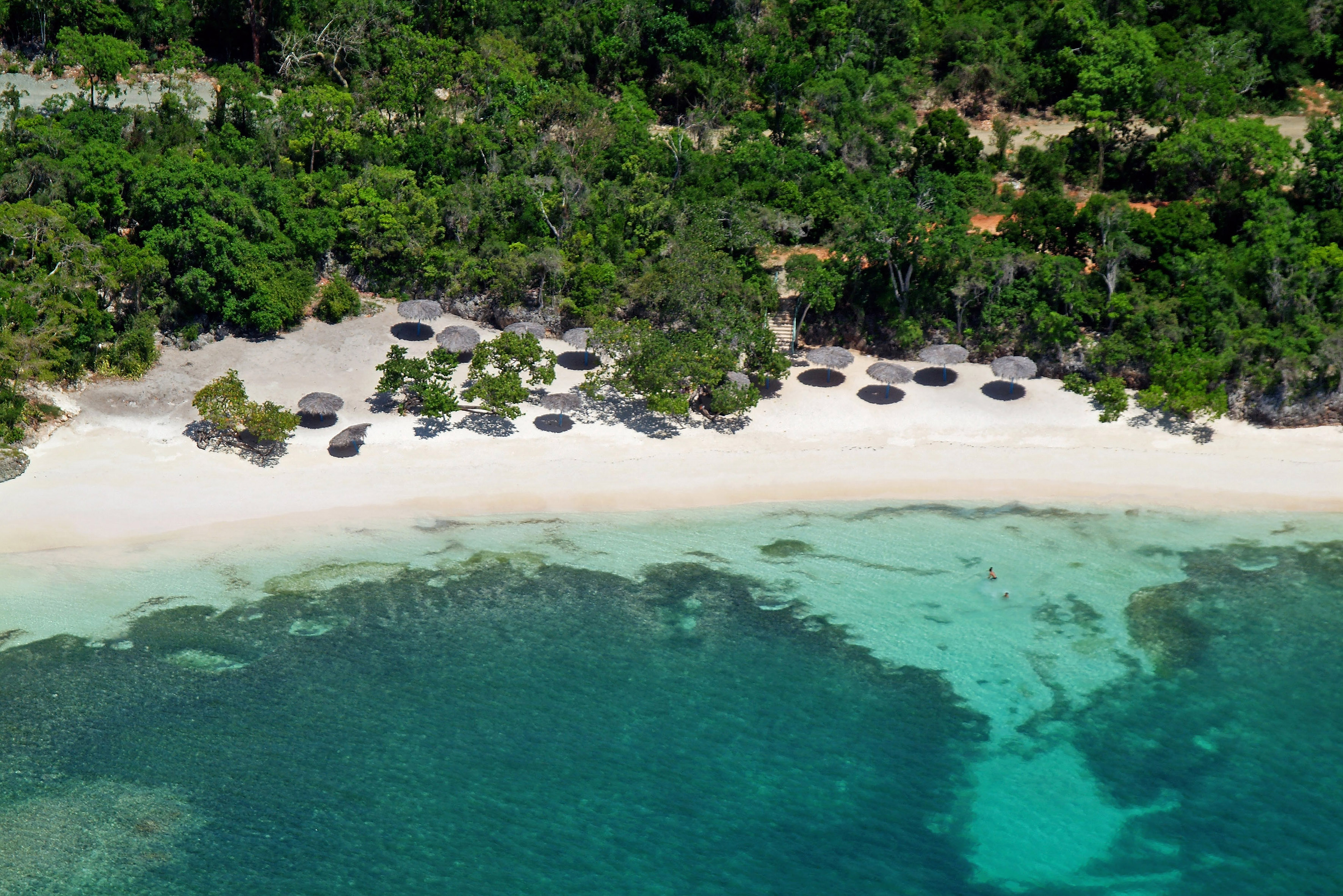 a beach with trees and a clear blue water