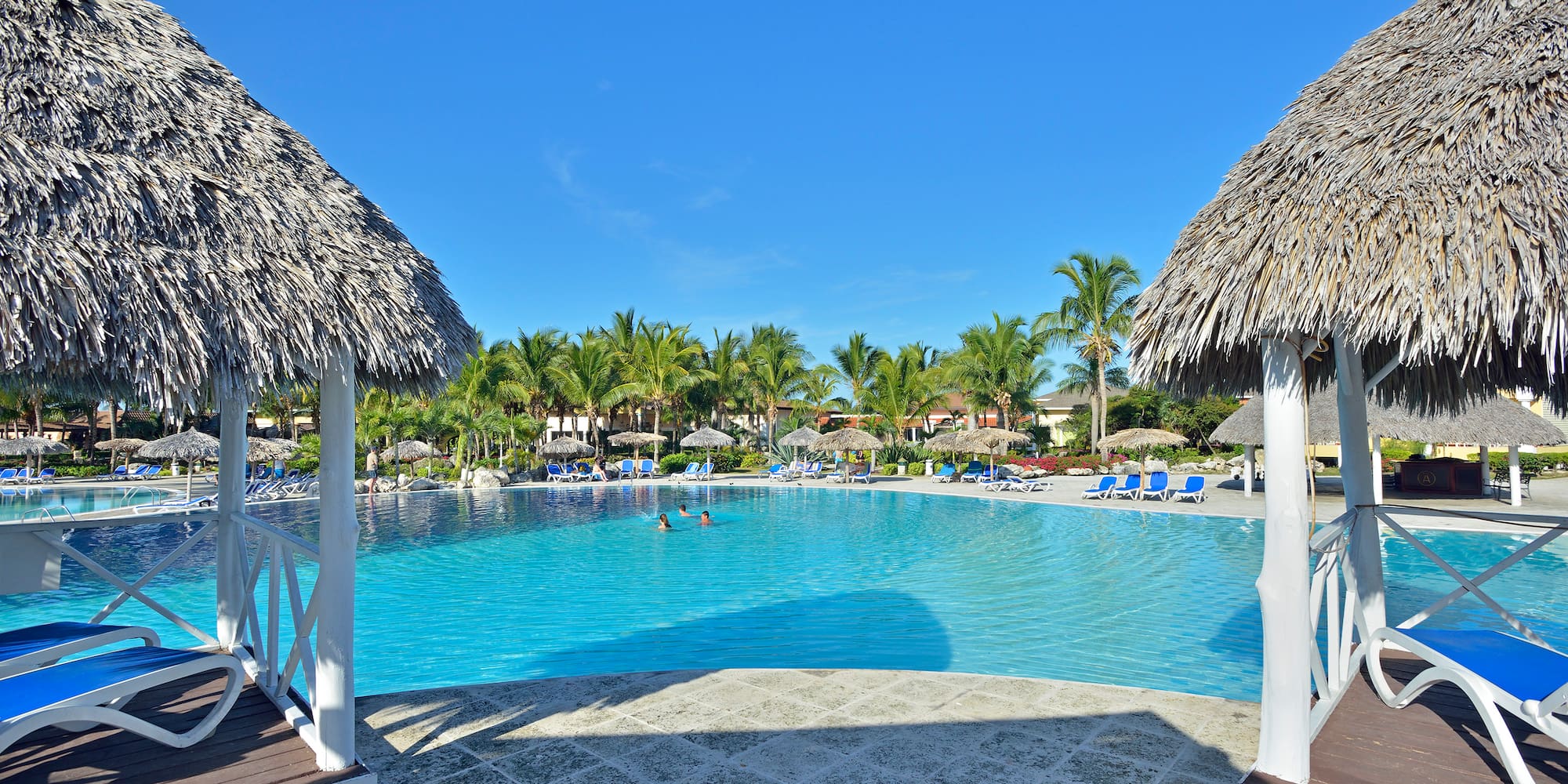 a pool with a thatched roof and people swimming in it