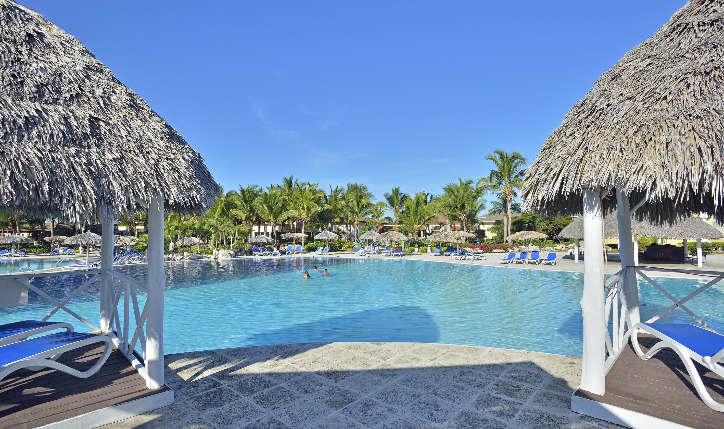 a pool with a thatched roof and people swimming in it