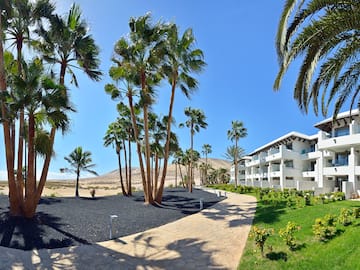 a building with palm trees and grass