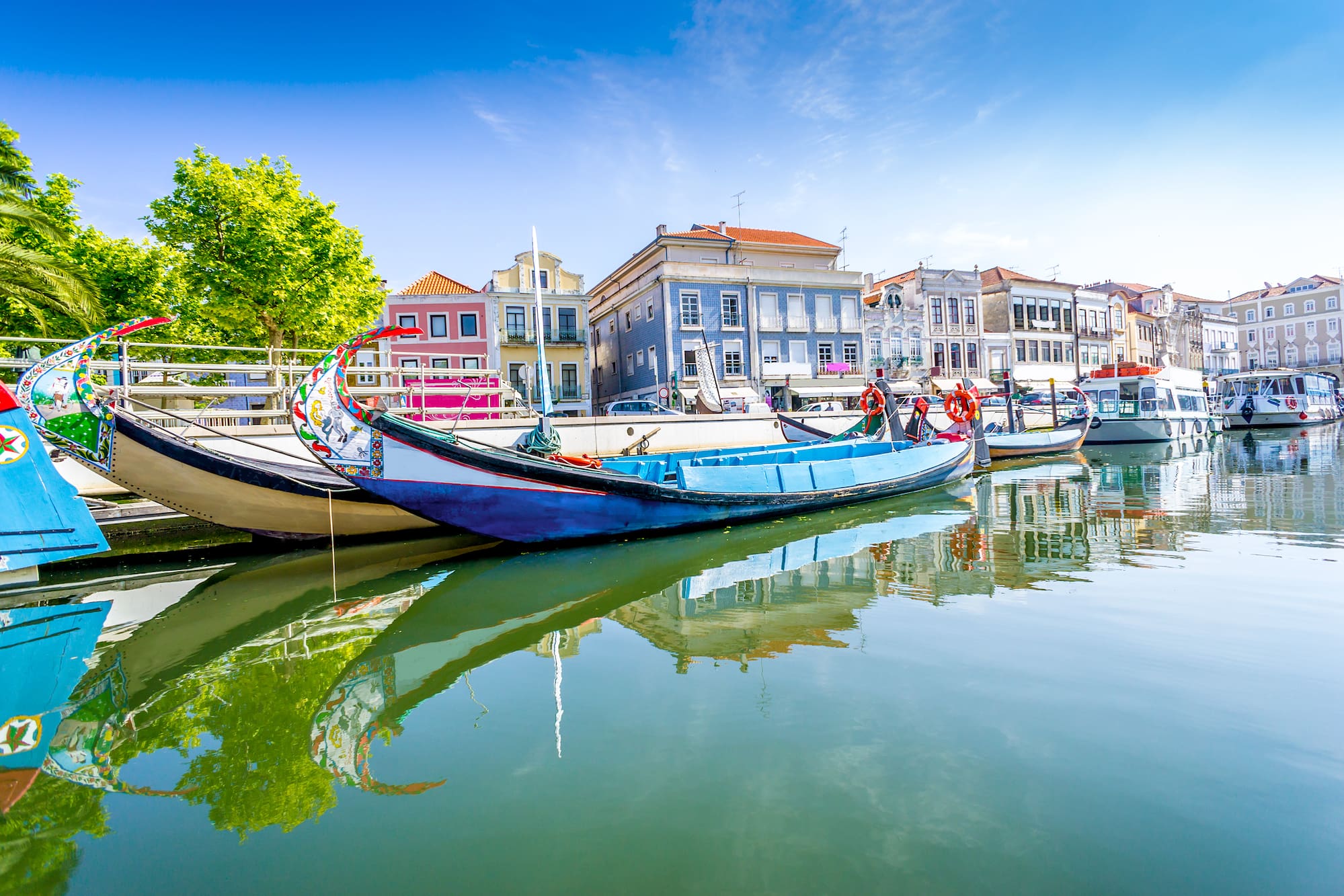 boats on the water