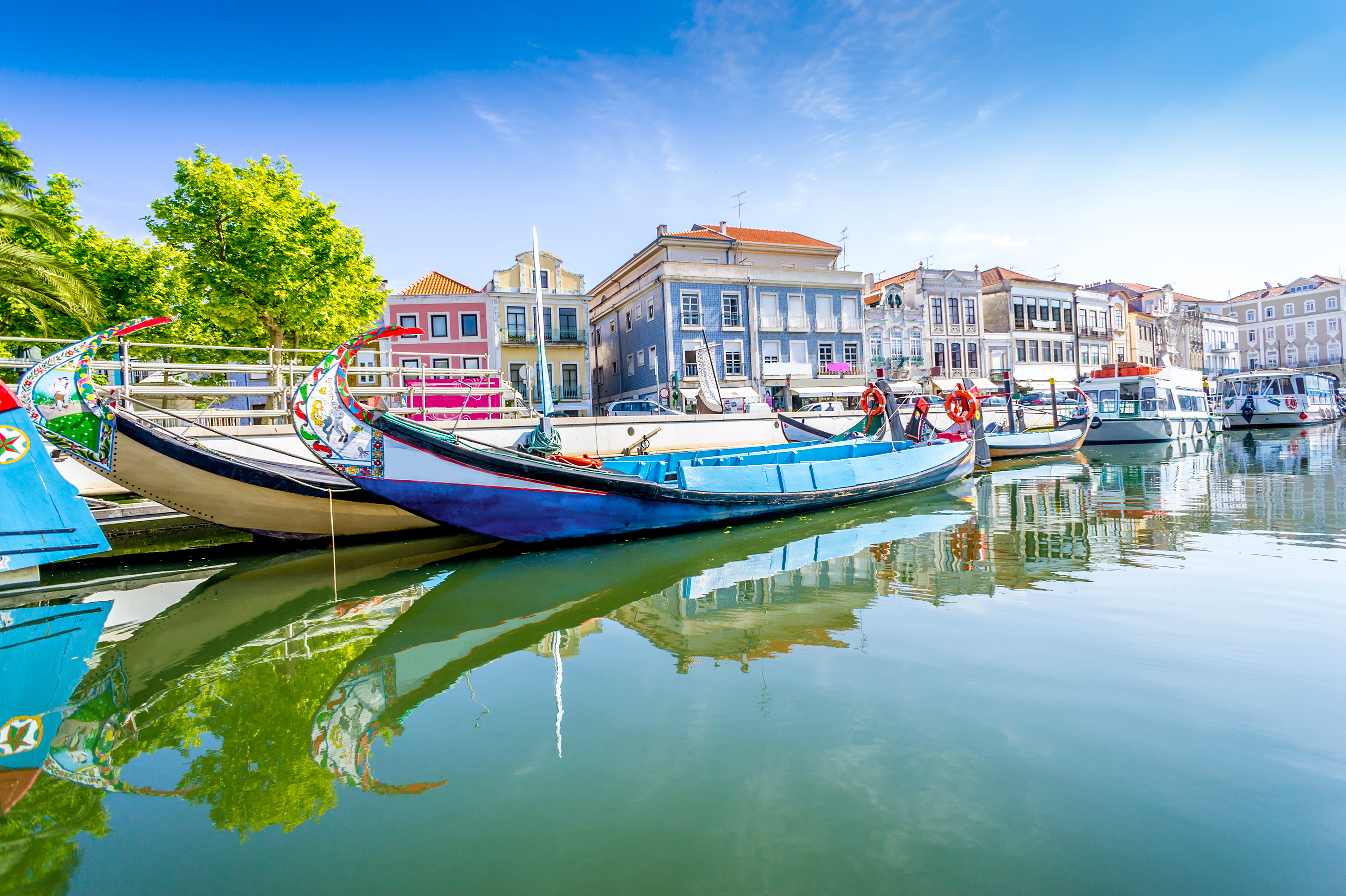 boats on the water