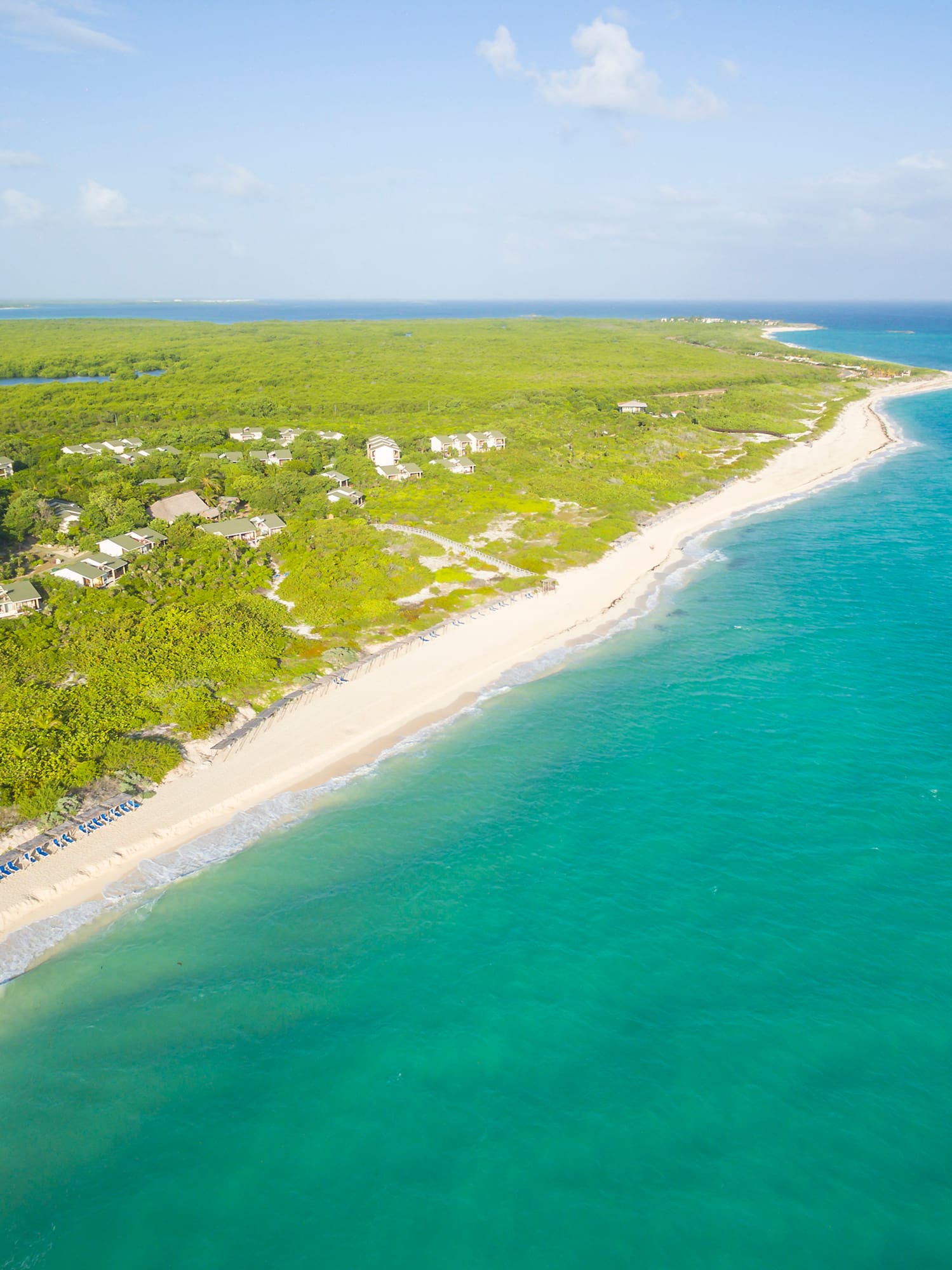 a beach with trees and blue water