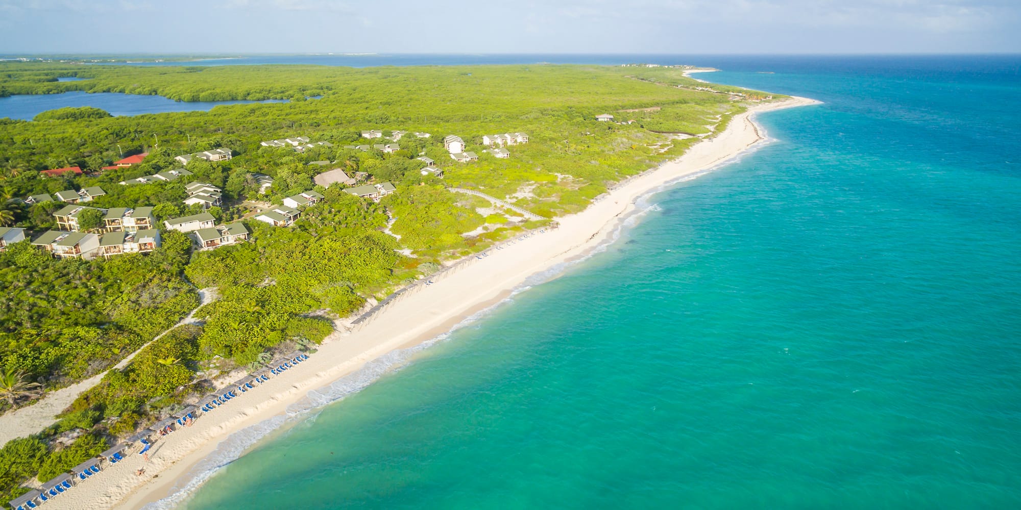 a beach with trees and blue water