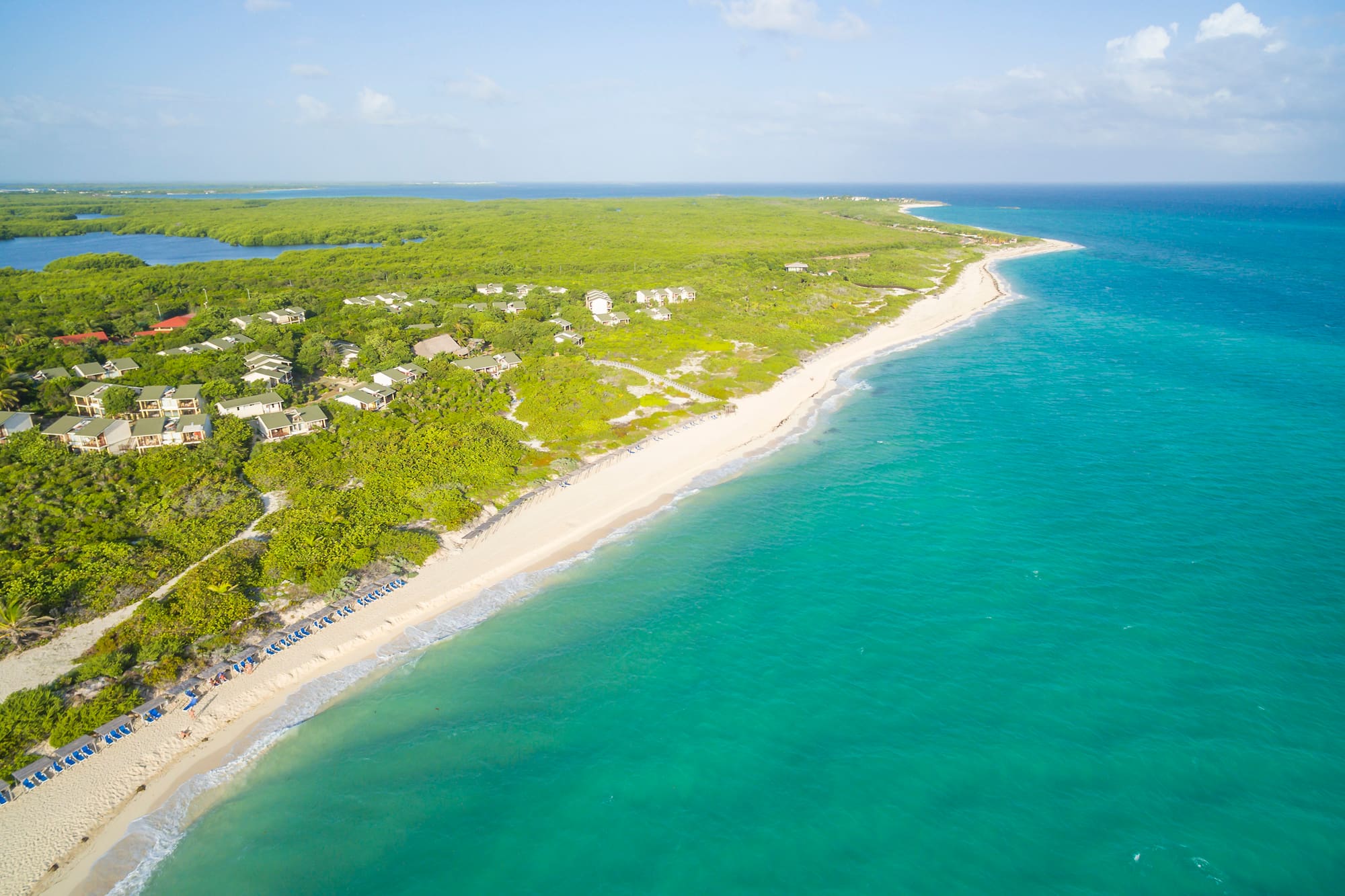 a beach with trees and blue water
