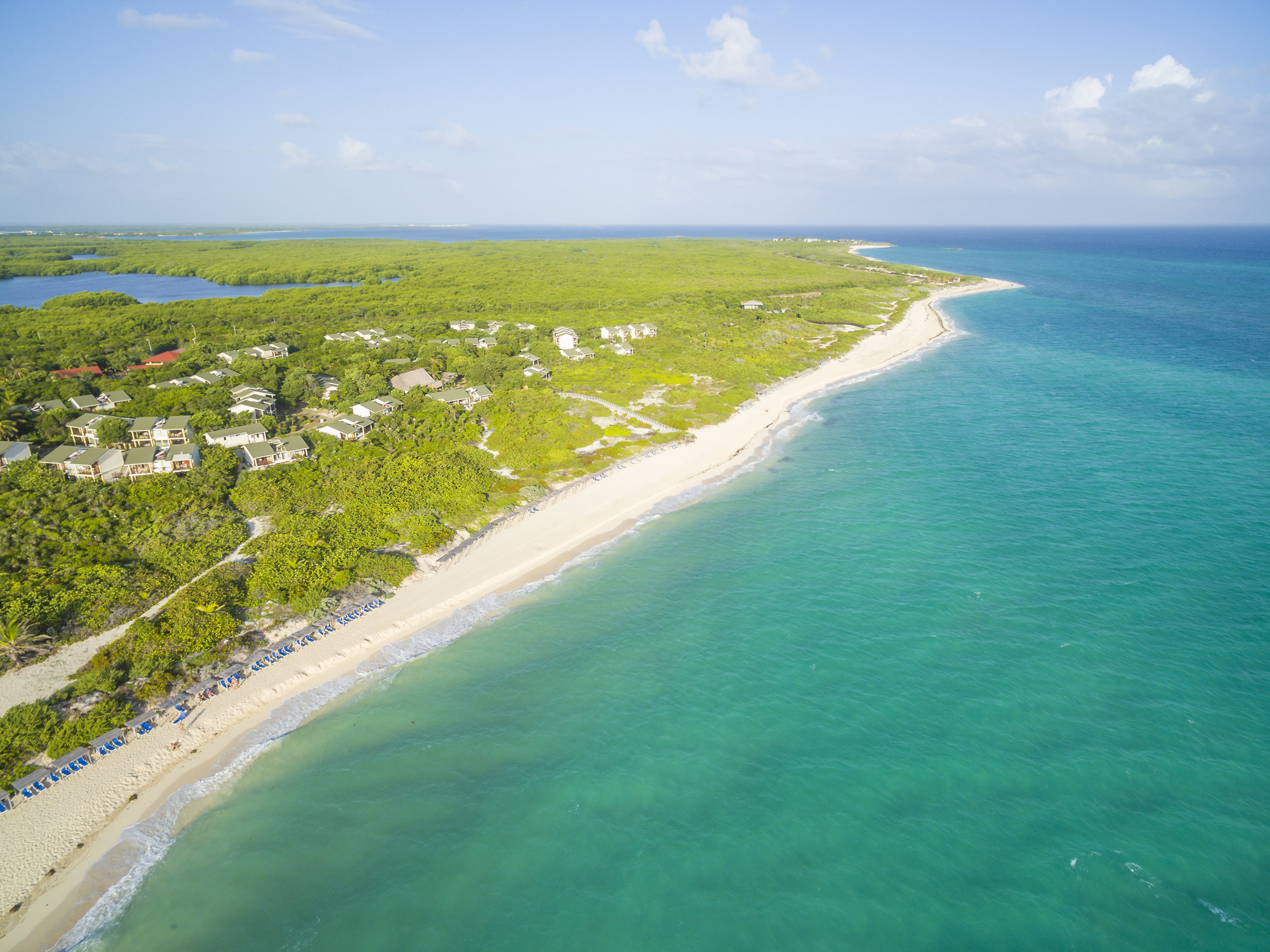 a beach with trees and blue water