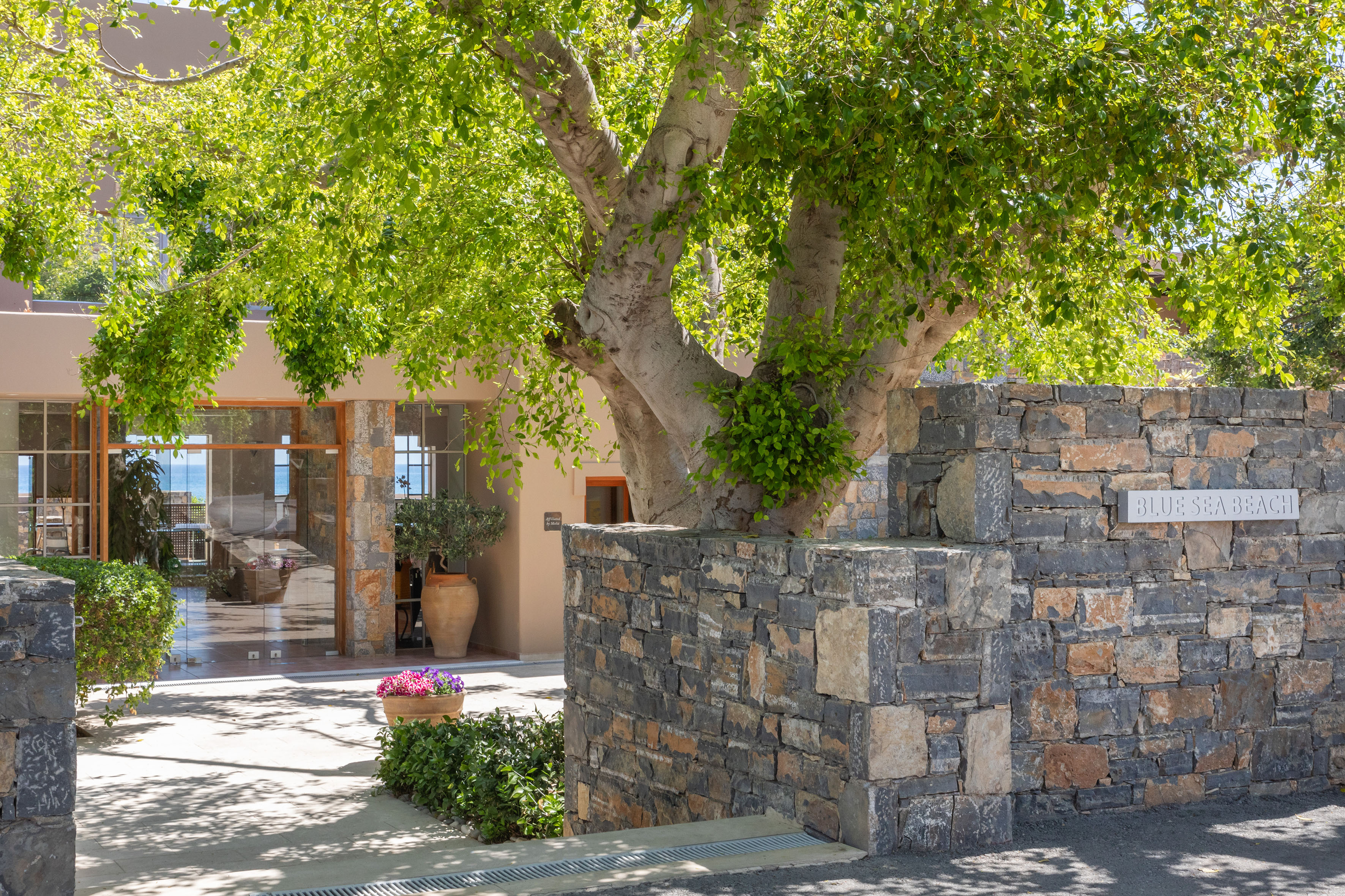 a tree in front of a building