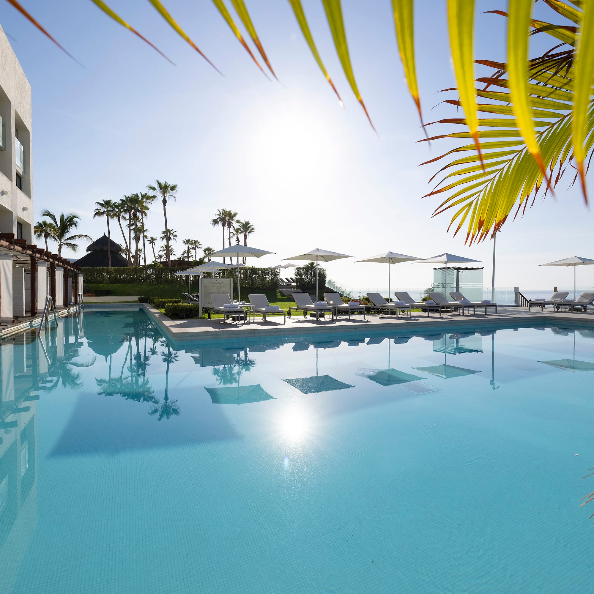 a pool with lounge chairs and umbrellas