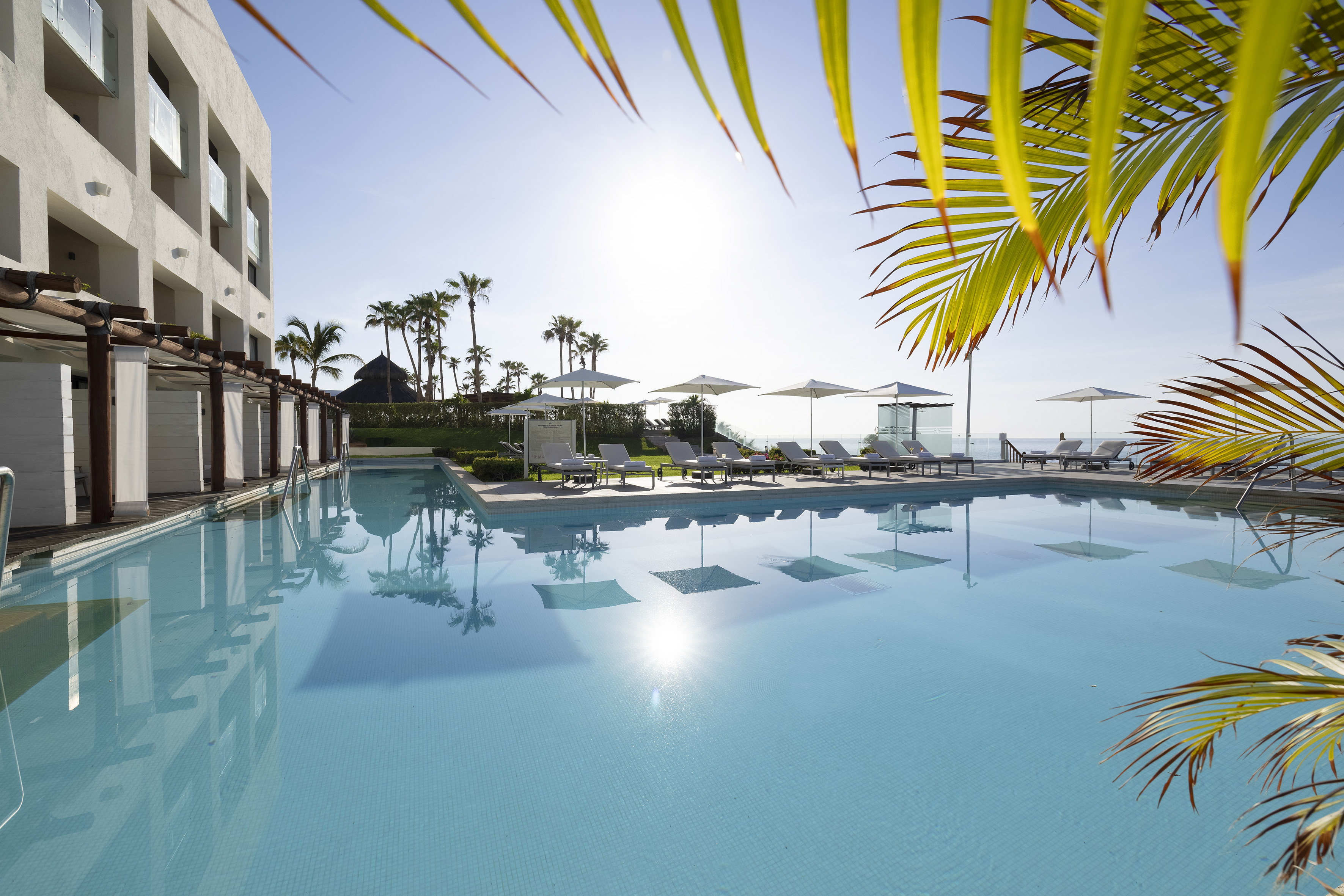 Sunny resort pool with hotel, palm trees, and lounge chairs.