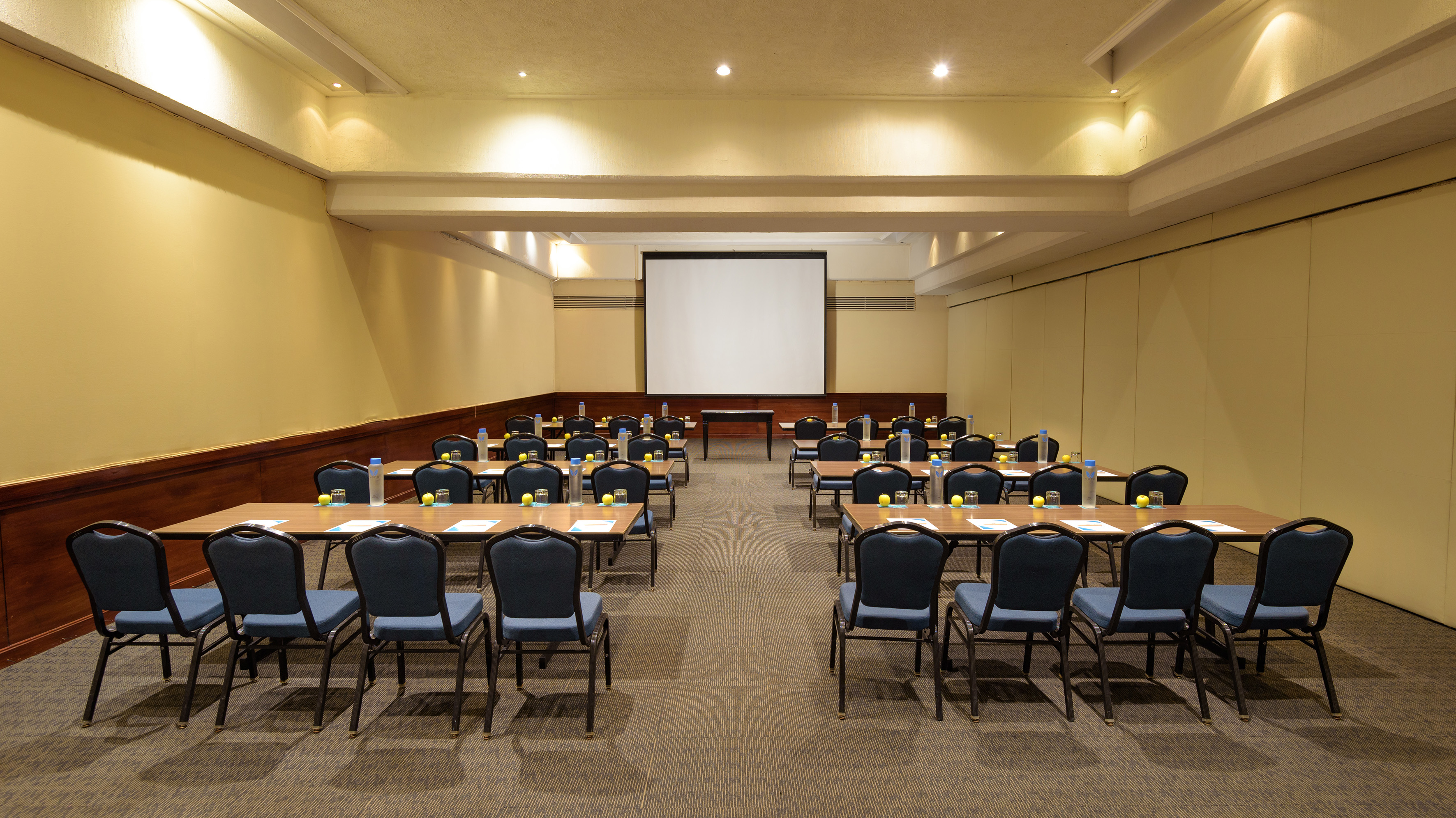 Professional conference room with tables, blue chairs, and projection screen.