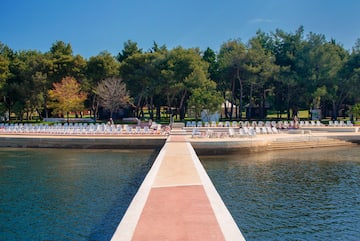a walkway leading to a body of water with a row of chairs and trees