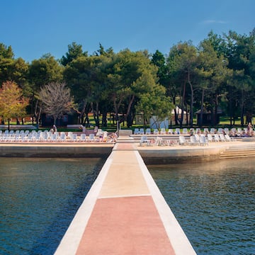 a walkway leading to a body of water with a row of chairs and trees