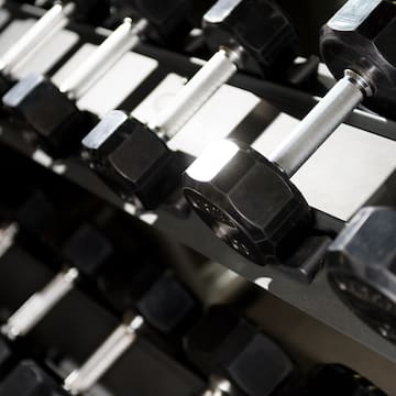 a close-up of a rack of dumbbells