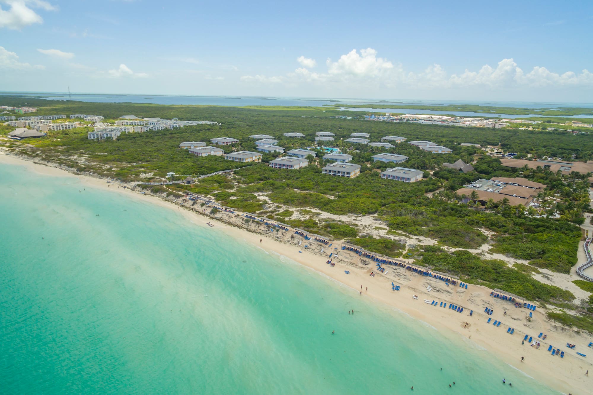 a beach with buildings and trees