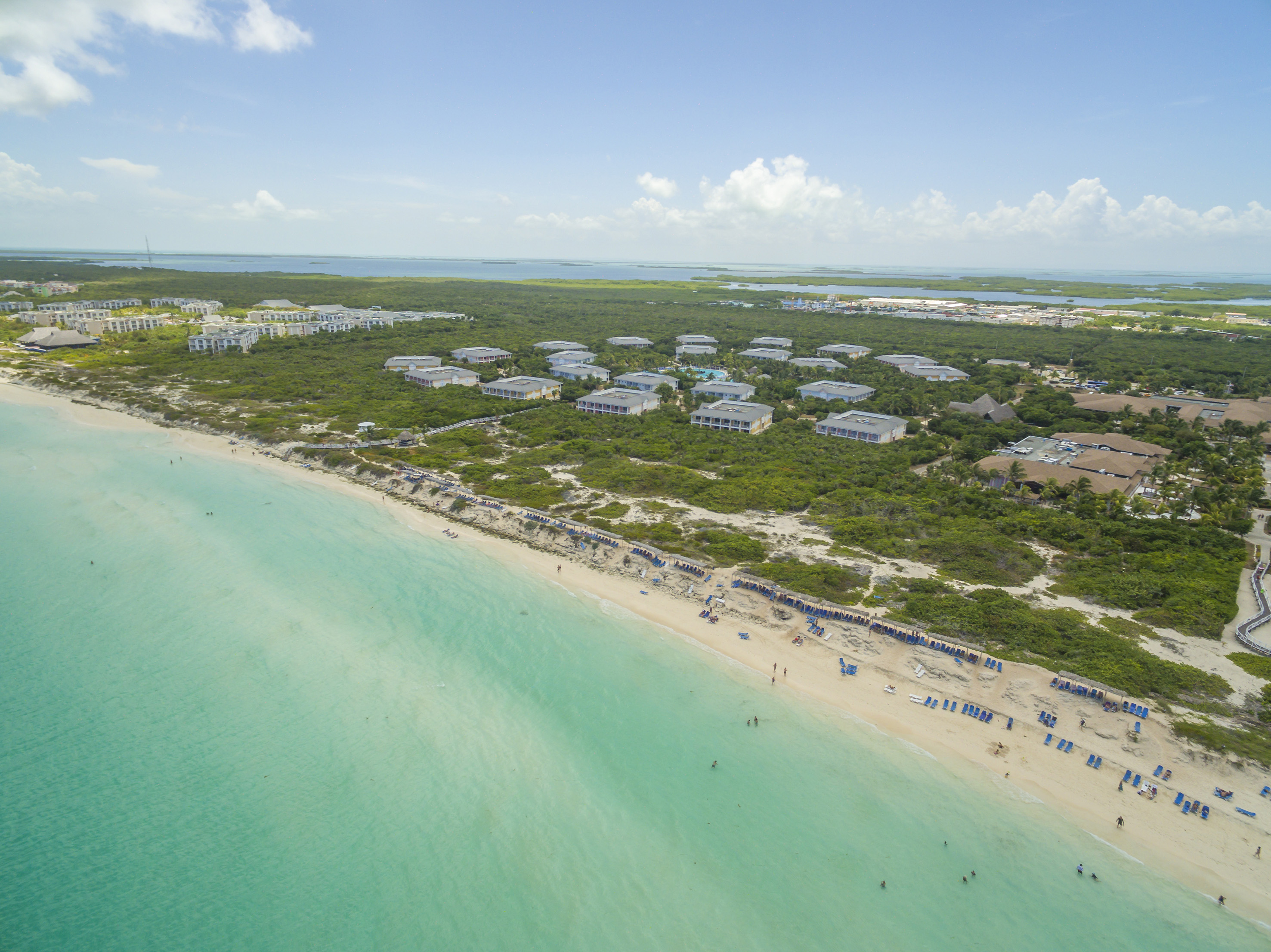 a beach with buildings and trees