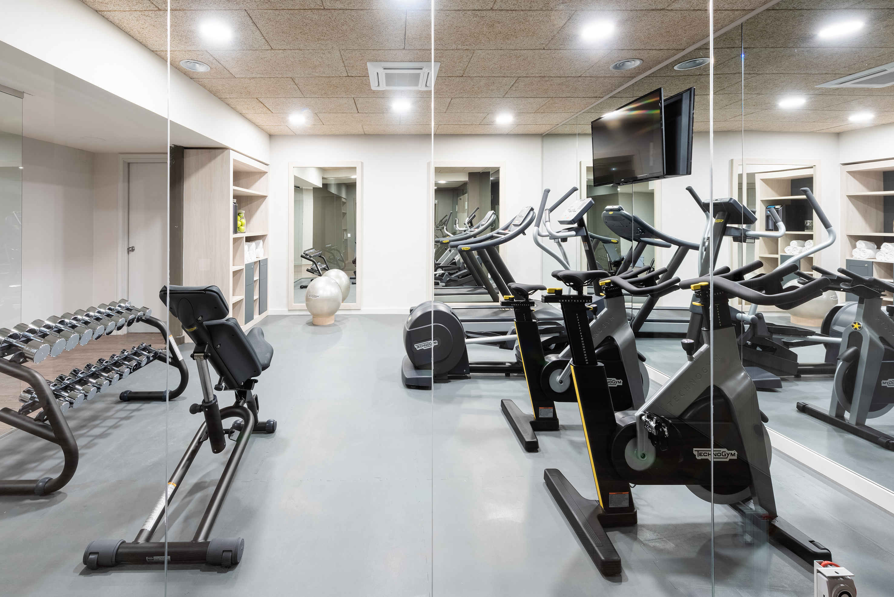 Bright, modern gym with Technogym bikes, dumbbells, and treadmills.