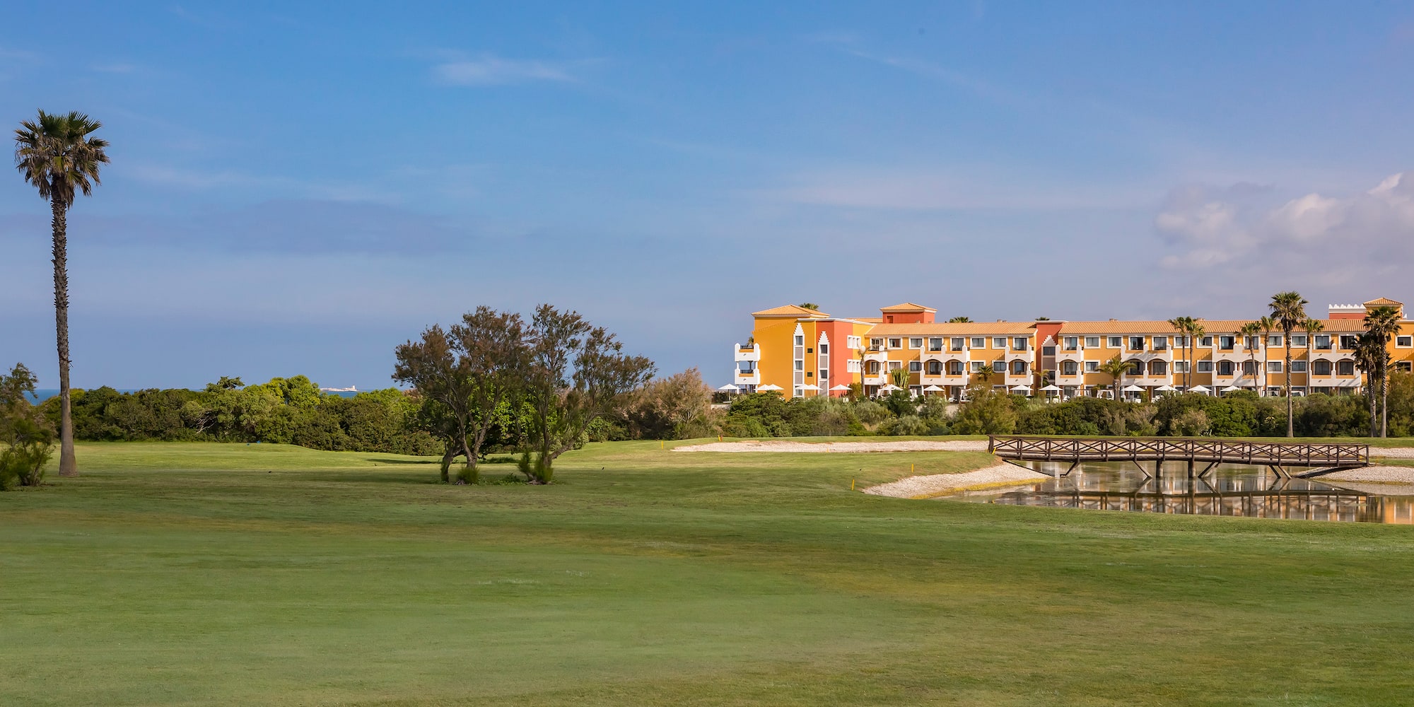 a large grassy area with a bridge and trees