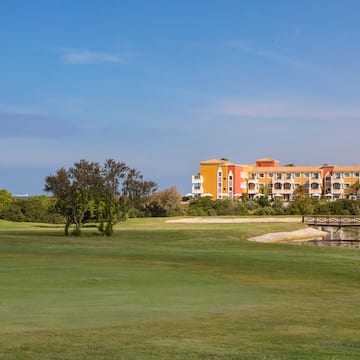 a large grassy area with a bridge and trees