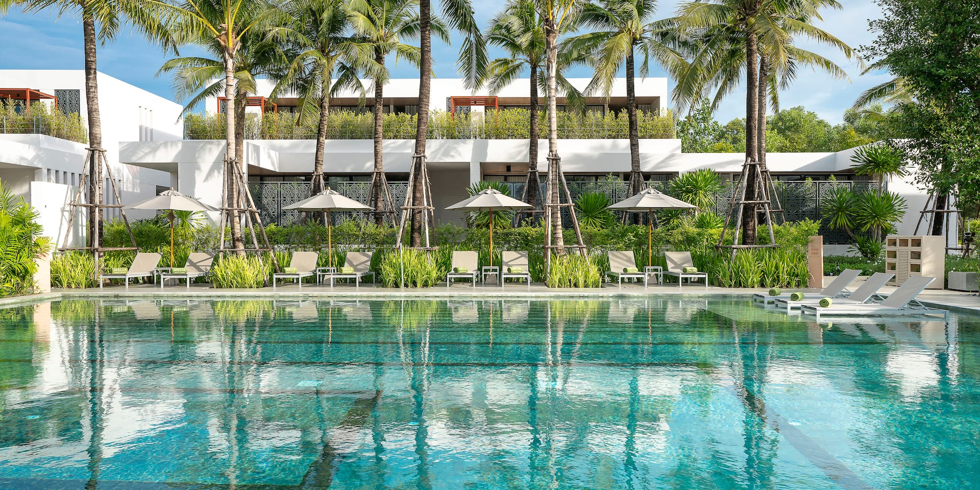 a pool with palm trees and chairs