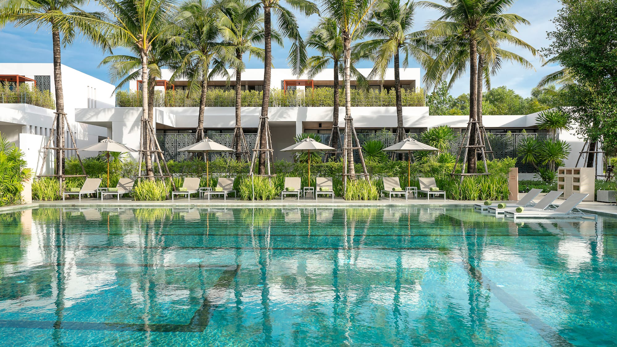 a pool with palm trees and chairs