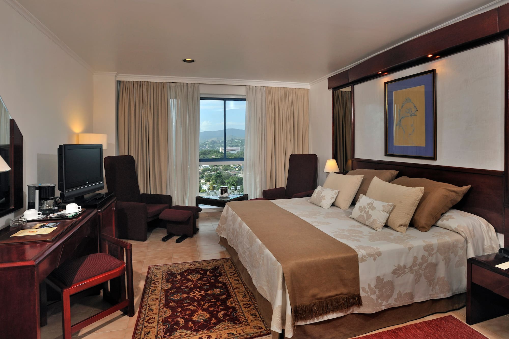 a bedroom with a large bed and a television