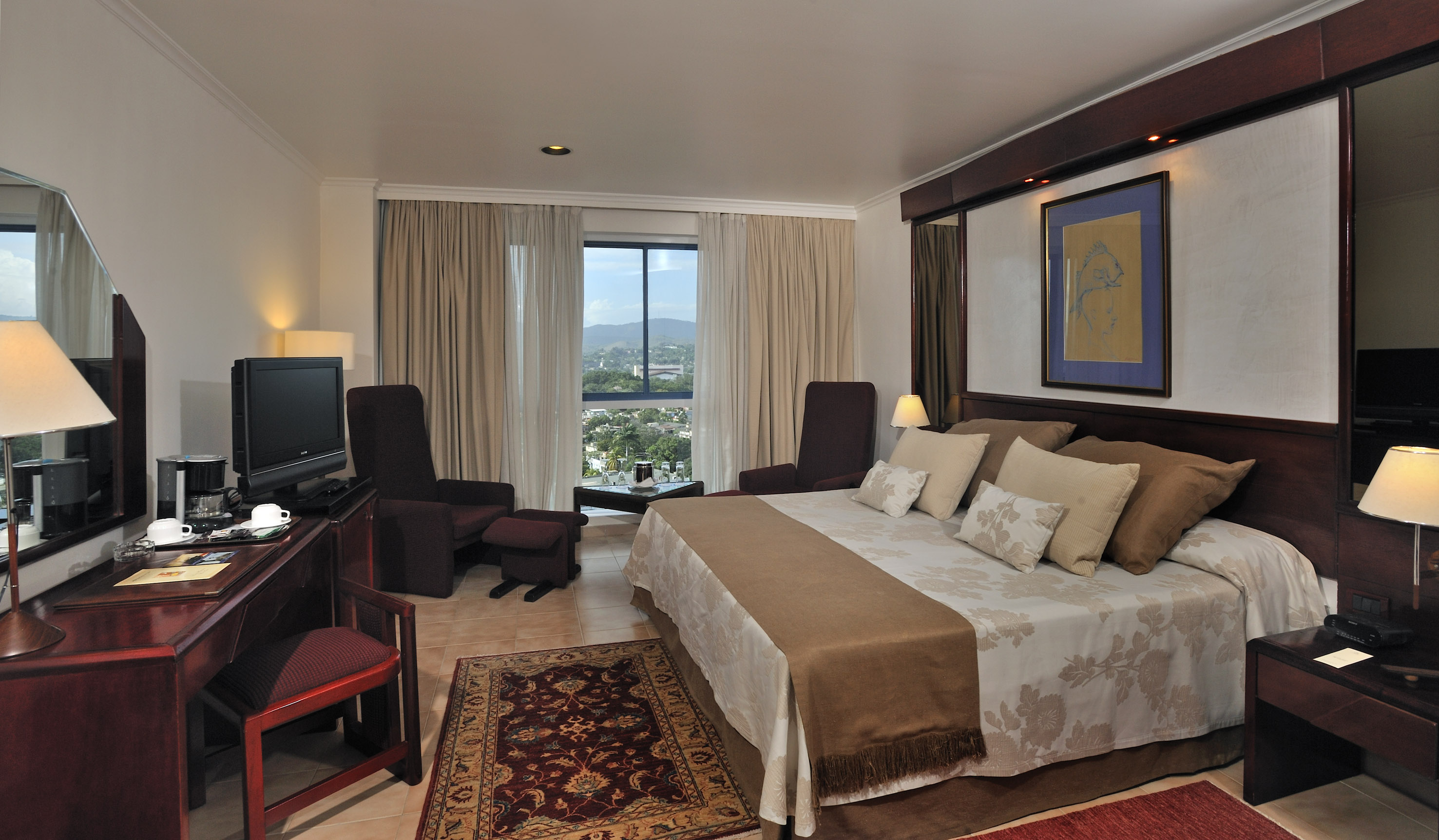 a bedroom with a large bed and a television