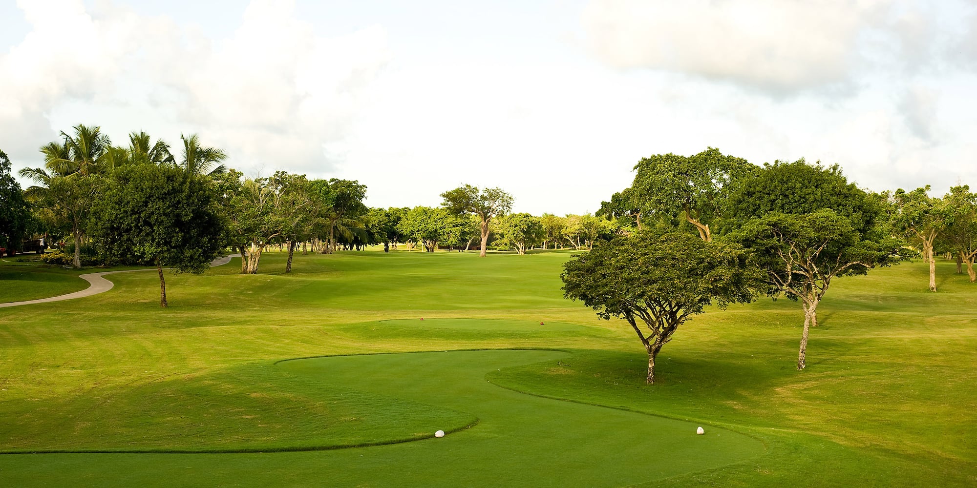 a golf course with trees and a path