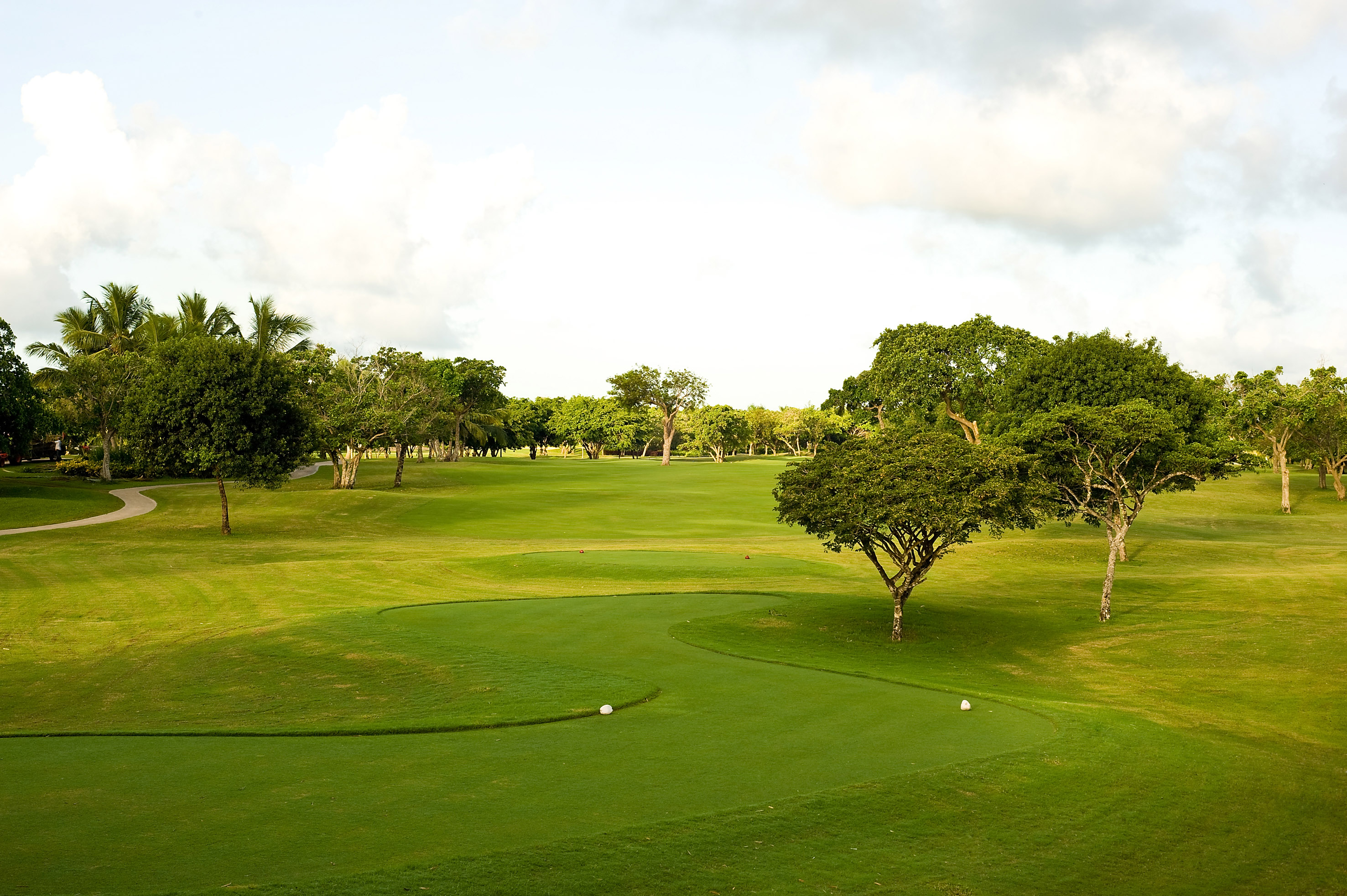 Lush green golf course with trees and two golf balls on the putting green.