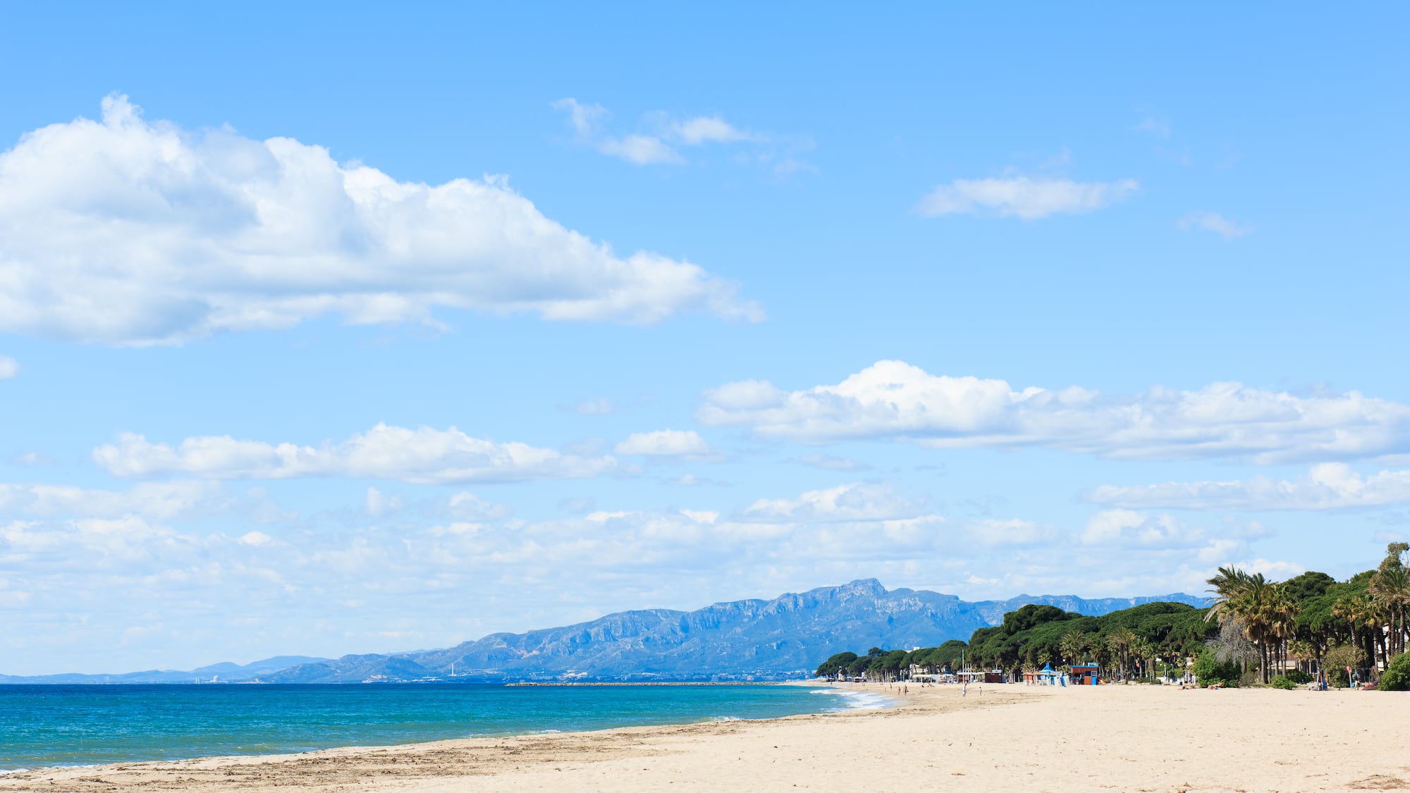 a beach with trees and mountains in the background