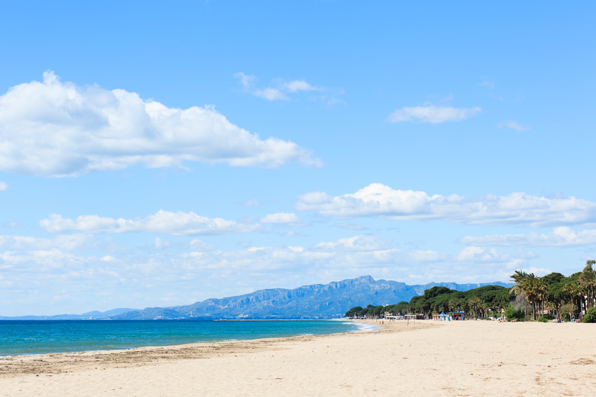 a beach with trees and mountains in the background
