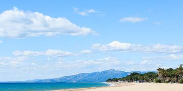 a beach with trees and mountains in the background
