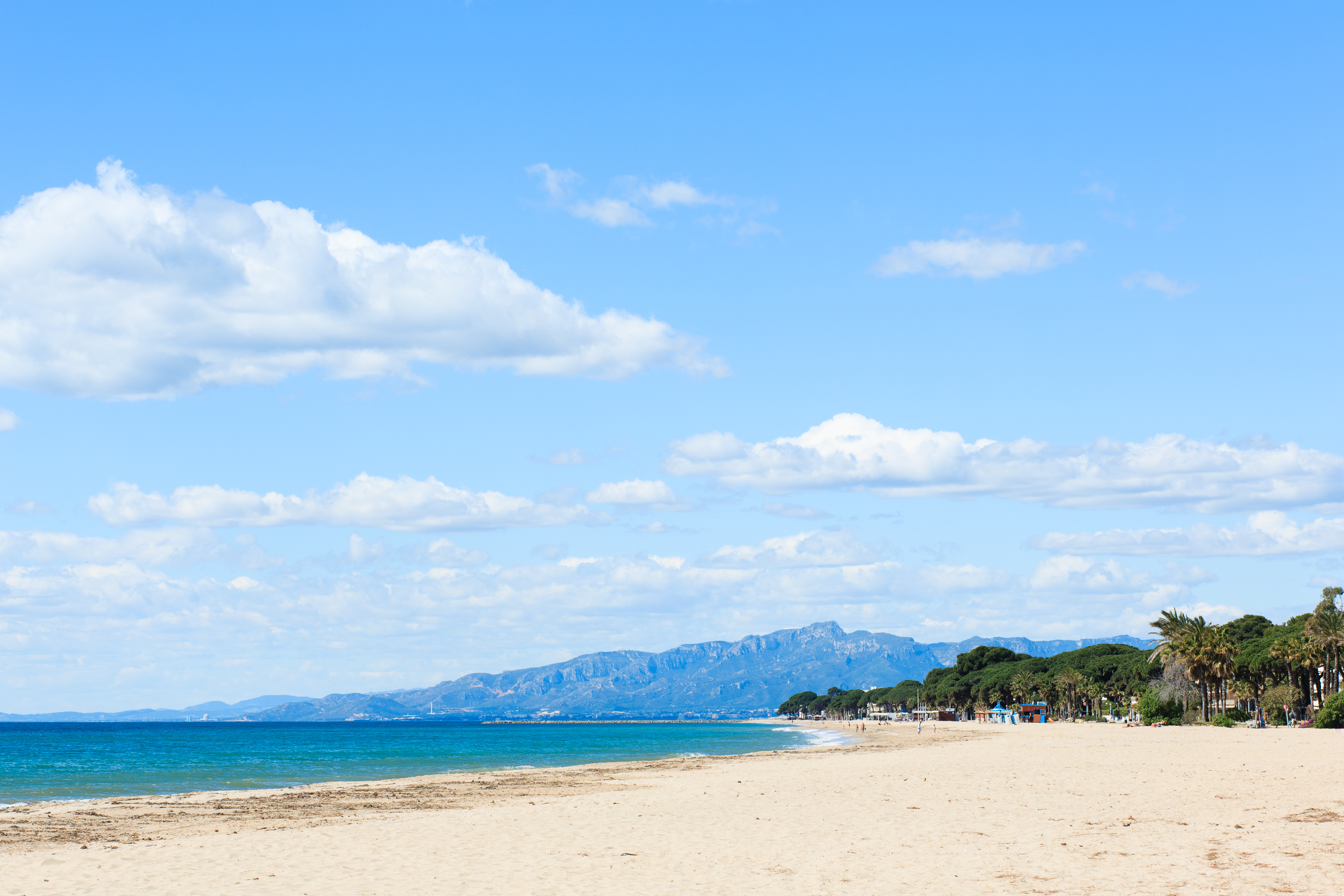 a beach with trees and mountains in the background