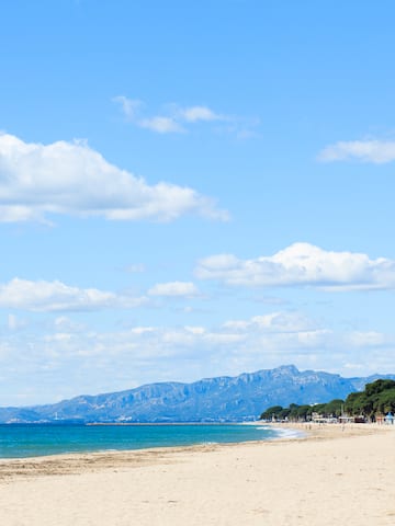 a beach with trees and mountains in the background