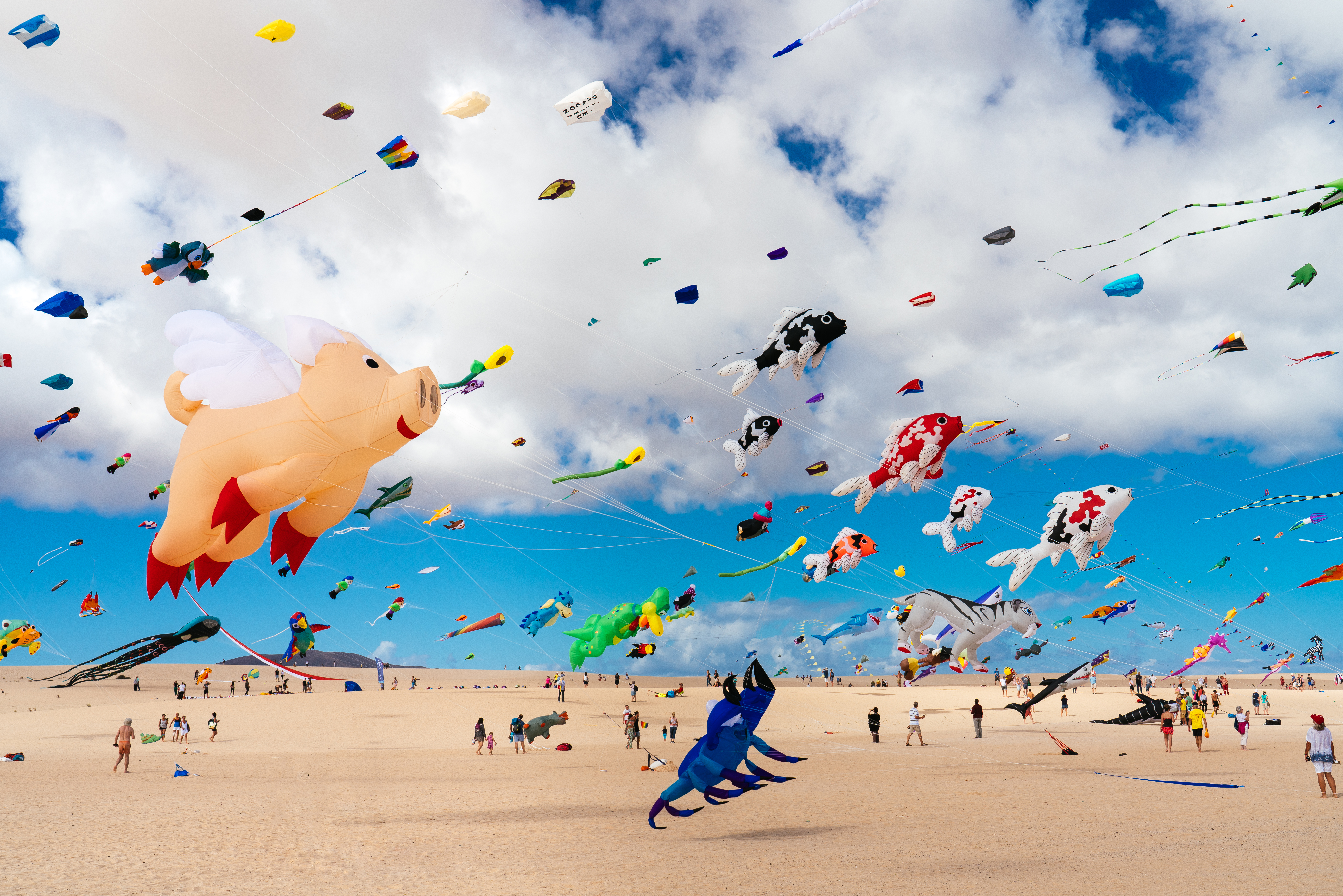 a group of people flying kites in the sky