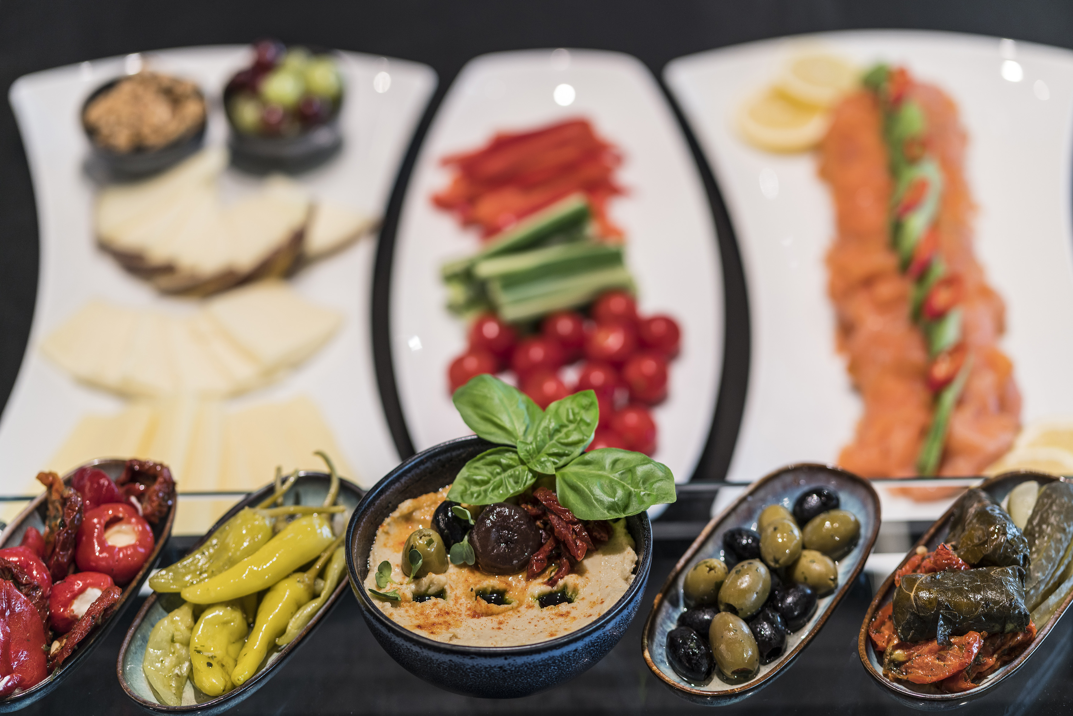 Gourmet Mediterranean buffet with hummus, olives, cheese, salmon, and vegetables.