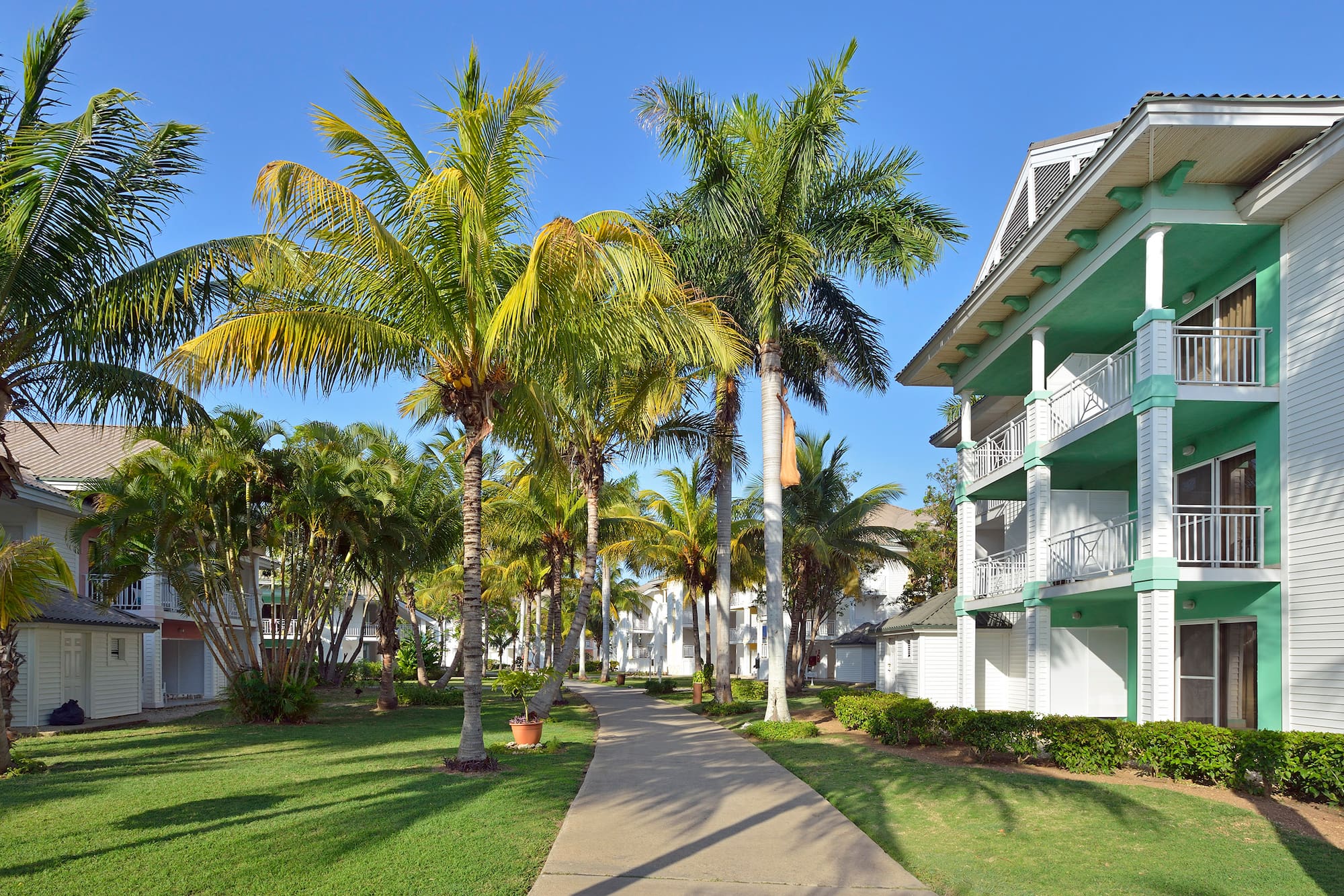 a walkway between two buildings with palm trees