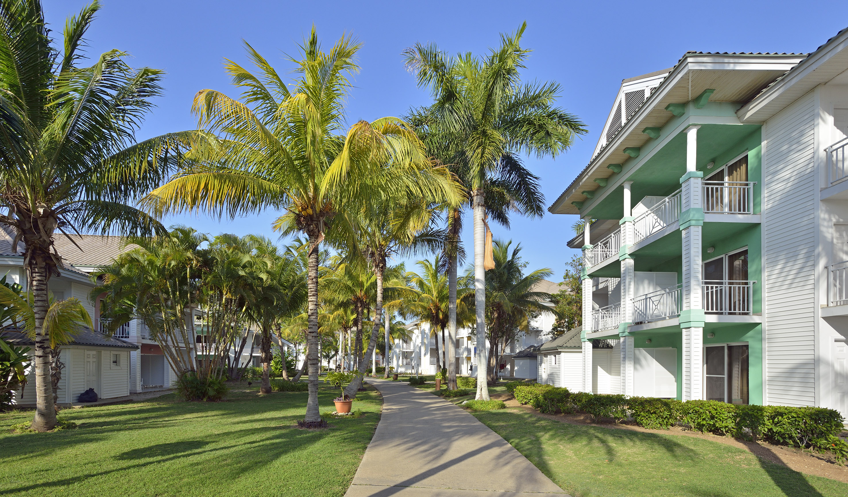 a walkway between two buildings with palm trees