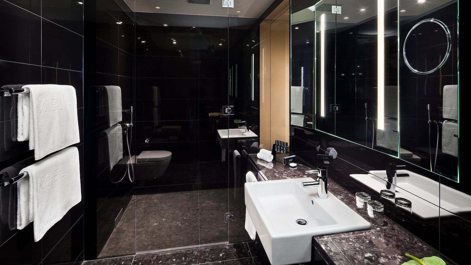 a bathroom with a sink and a shower