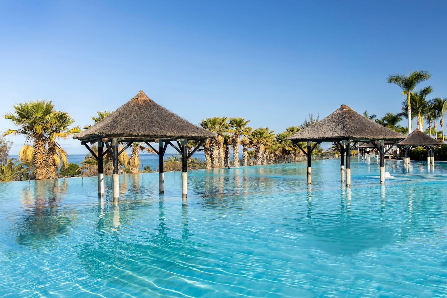 a pool with a thatched roof and a palm tree