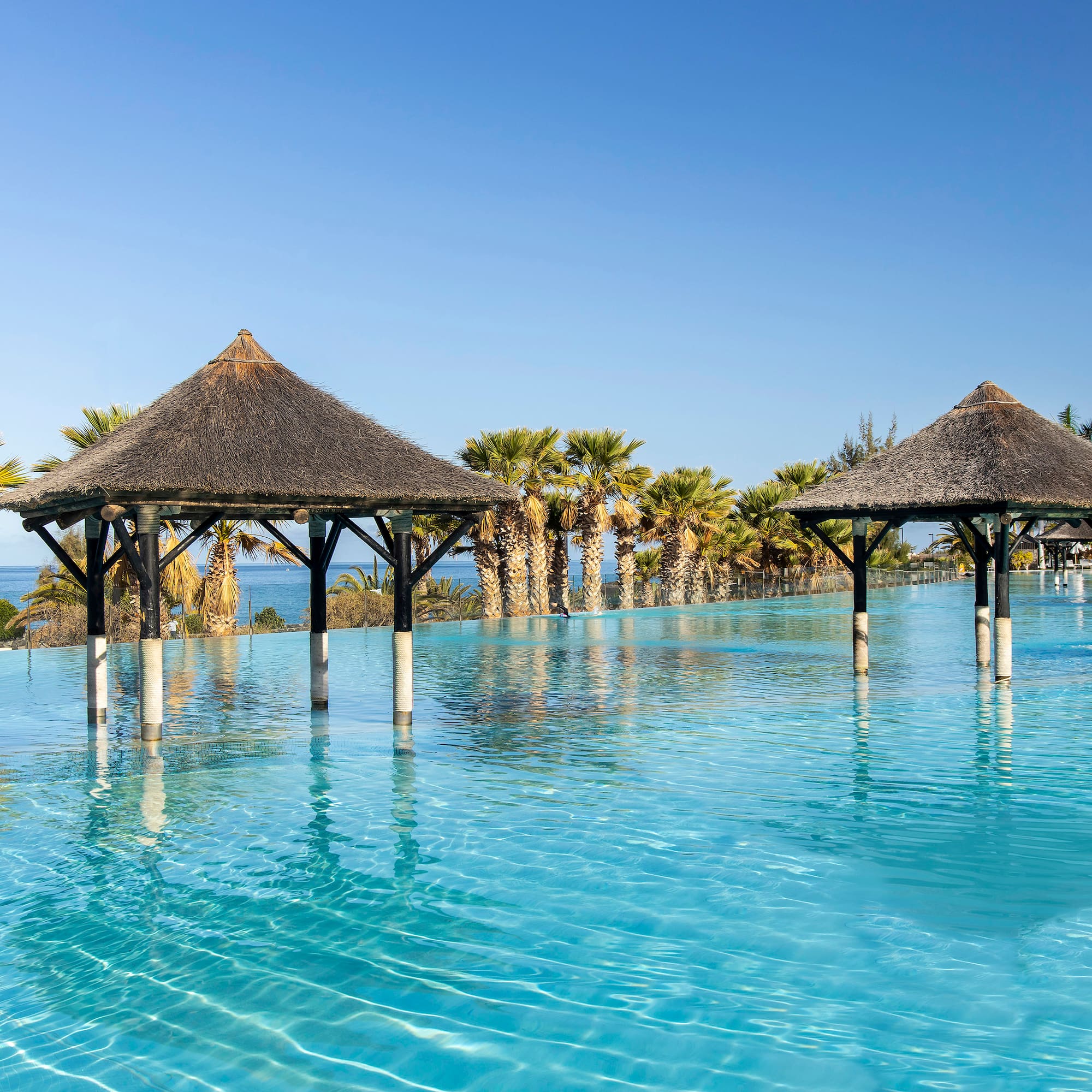 a pool with a thatched roof and a palm tree
