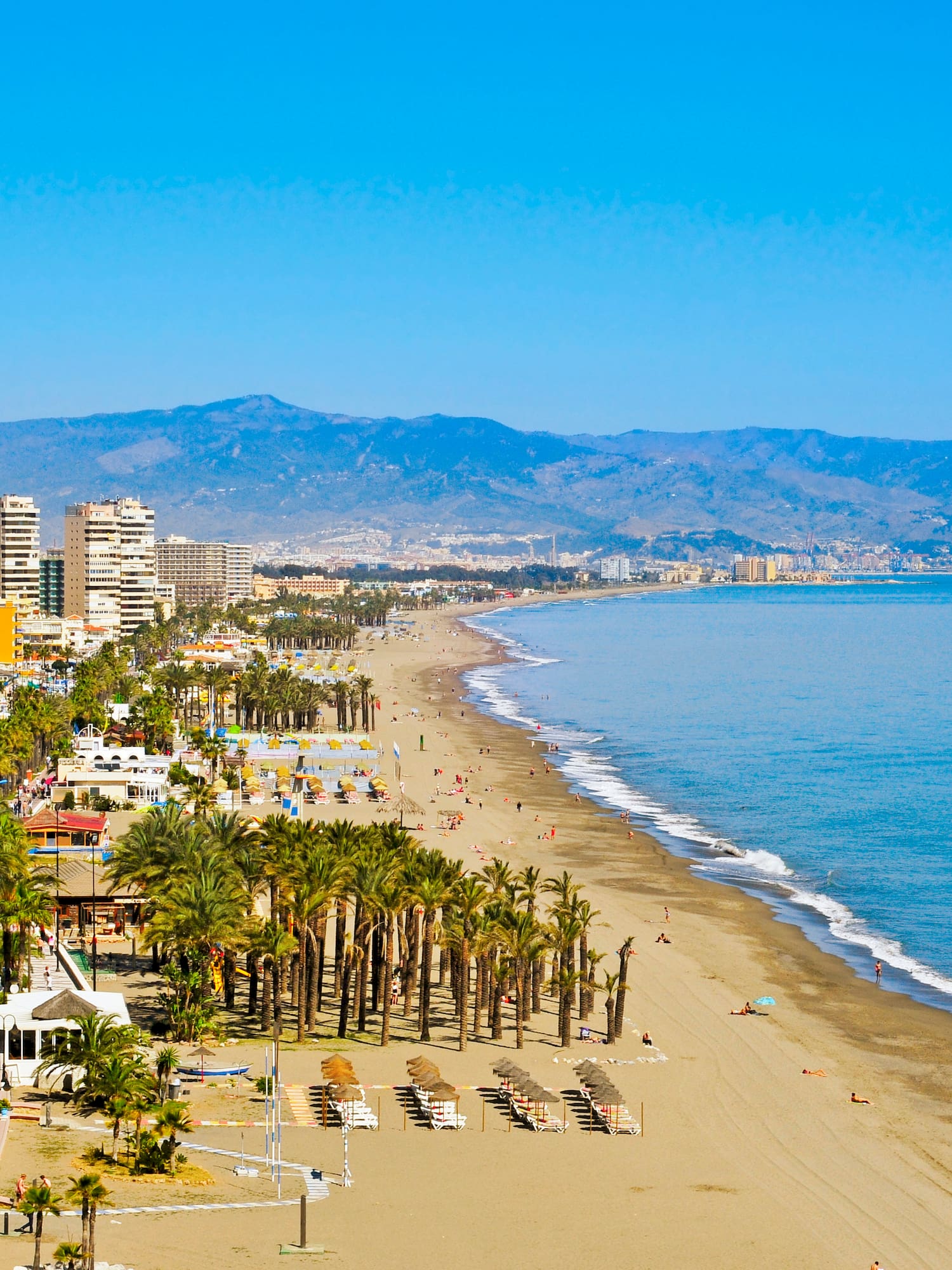 a beach with palm trees and buildings