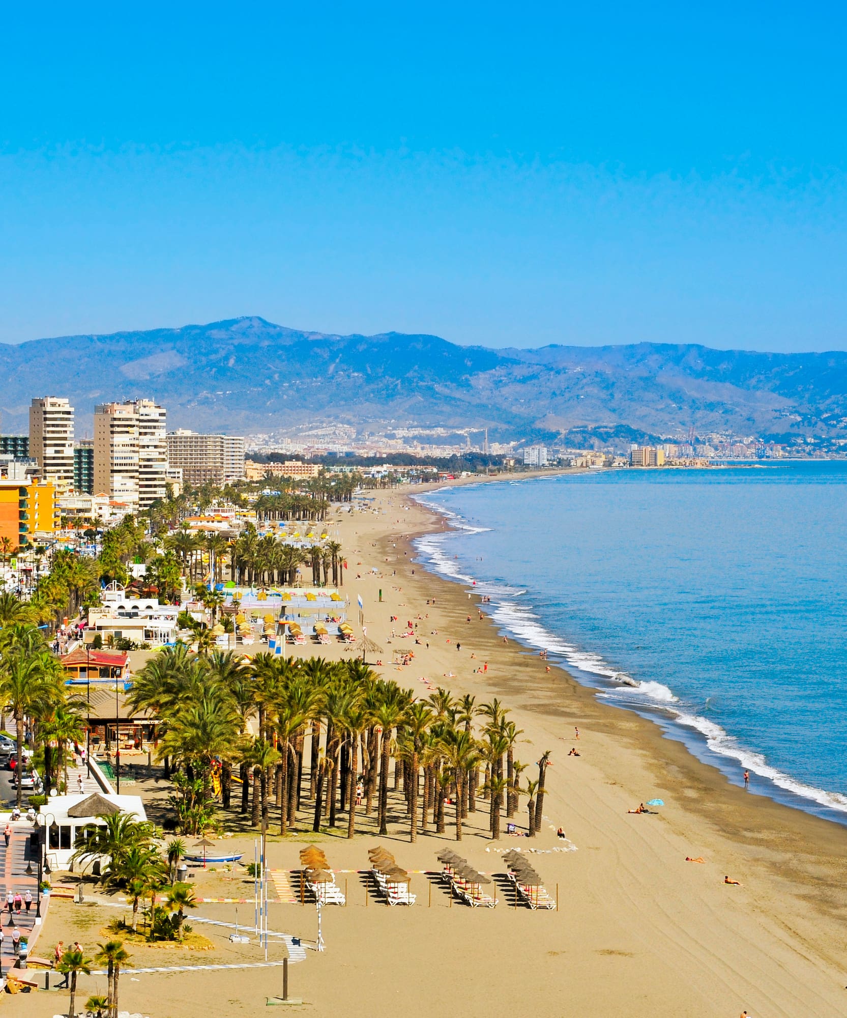a beach with palm trees and buildings