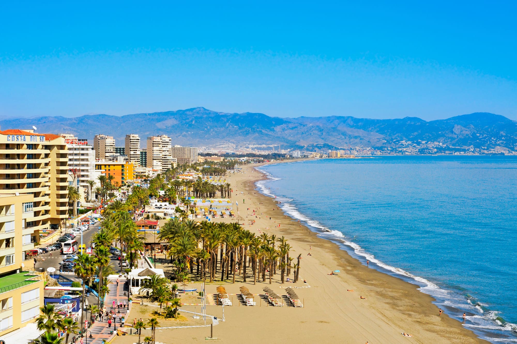a beach with palm trees and buildings