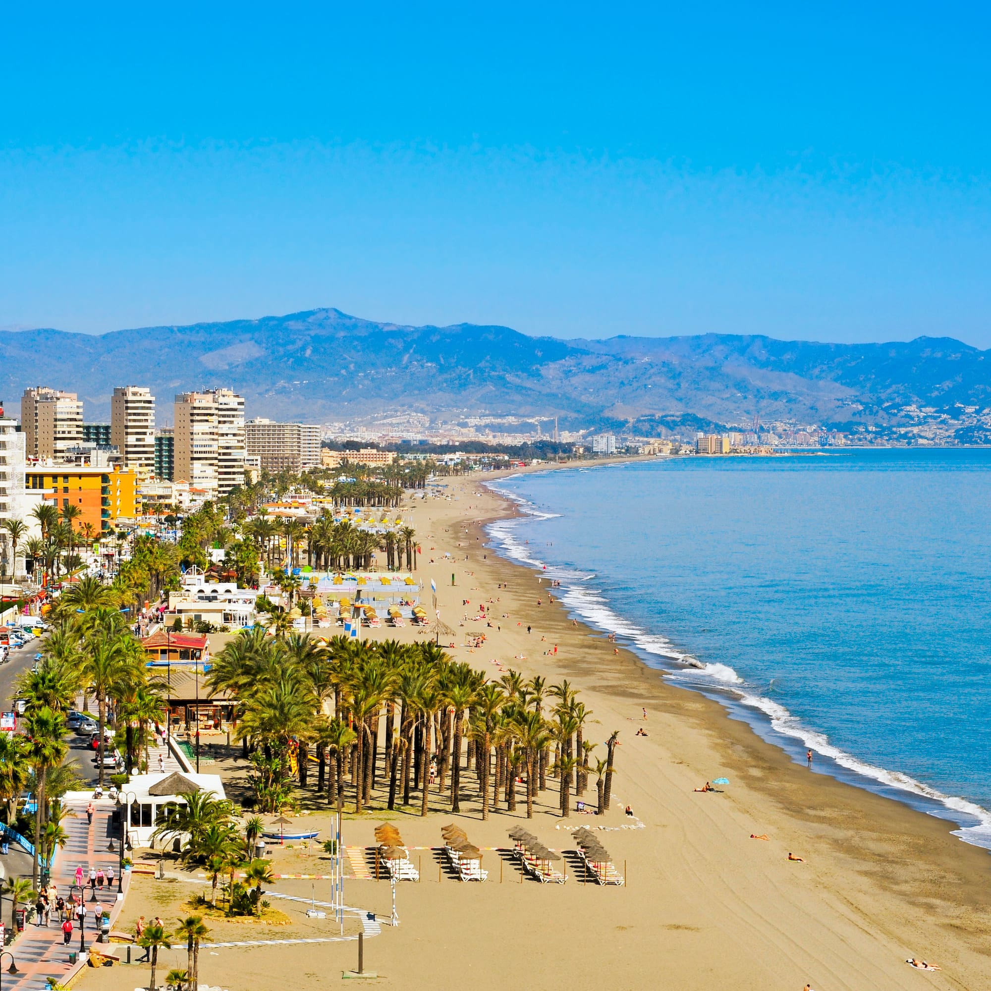 a beach with palm trees and buildings