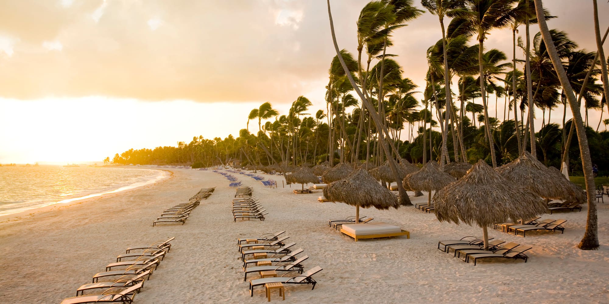 a beach with chairs and umbrellas