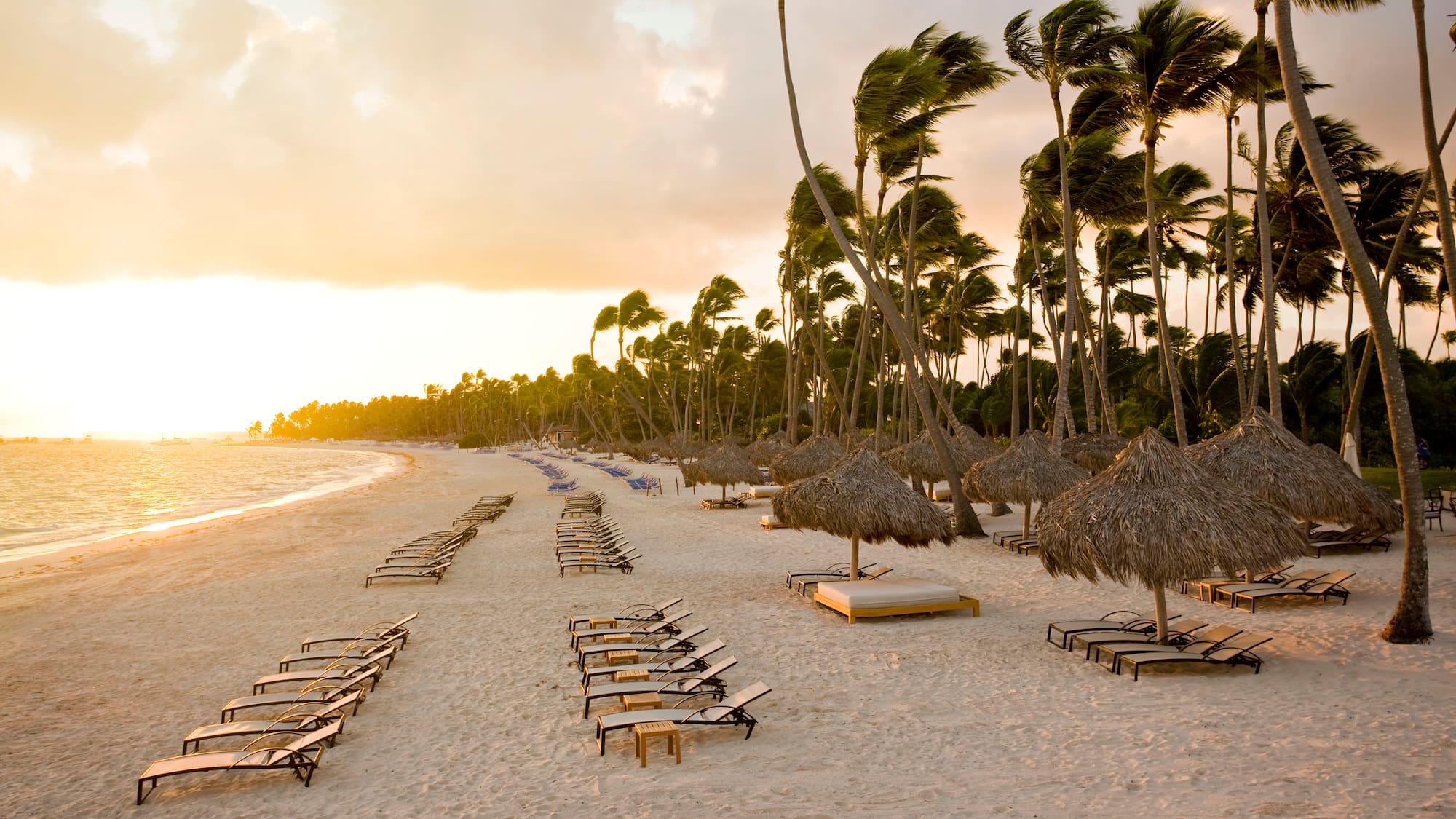 a beach with chairs and umbrellas