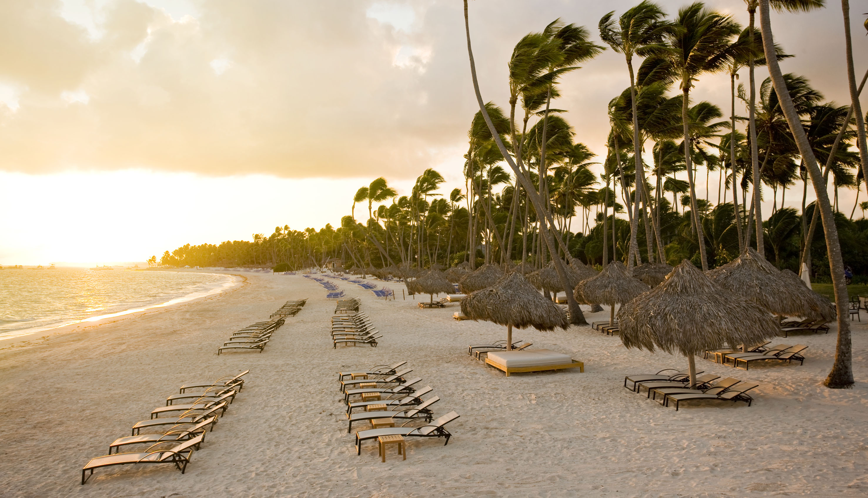 a beach with chairs and umbrellas