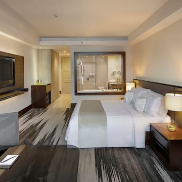 a room with a bed and a television