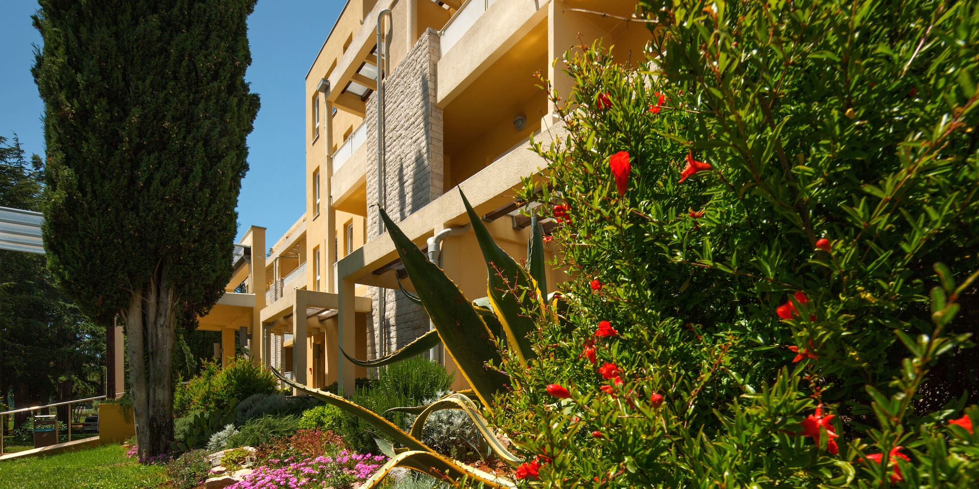 a building with plants and flowers